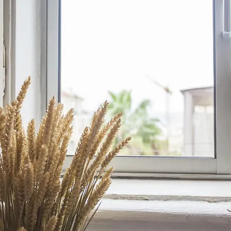 Apartamento Lovelystay Principe Real Charming Flat *